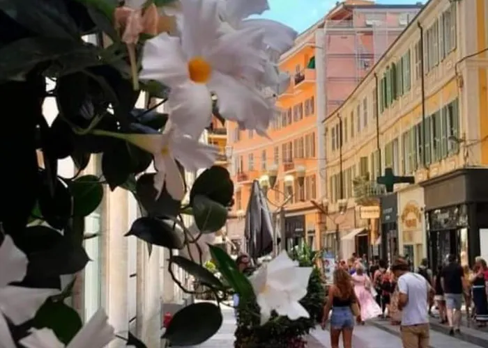 Casa Girasole Centro Daire